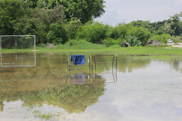 为主力球员 为主力球员