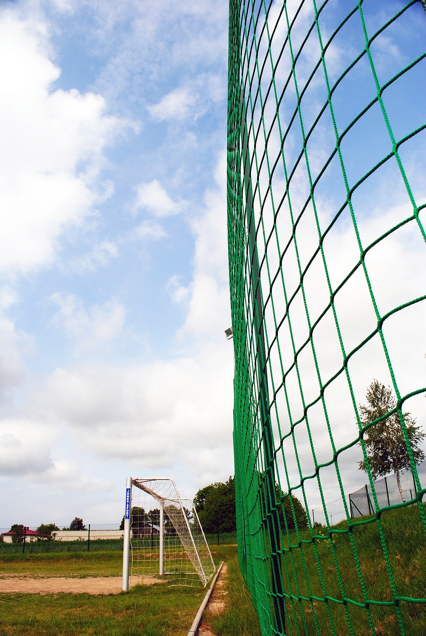 要李伟继续 要李伟继续